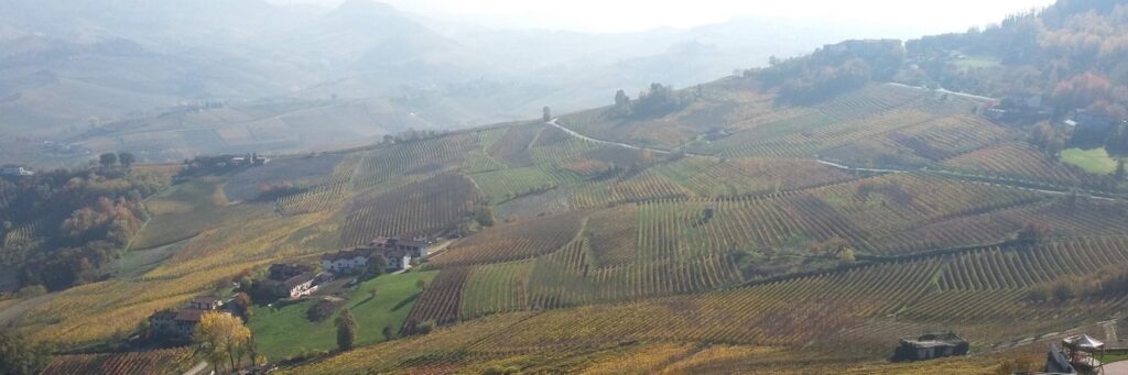 Langhe moscato baccotours
