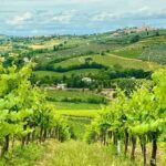 Tuscany Bacco Tours