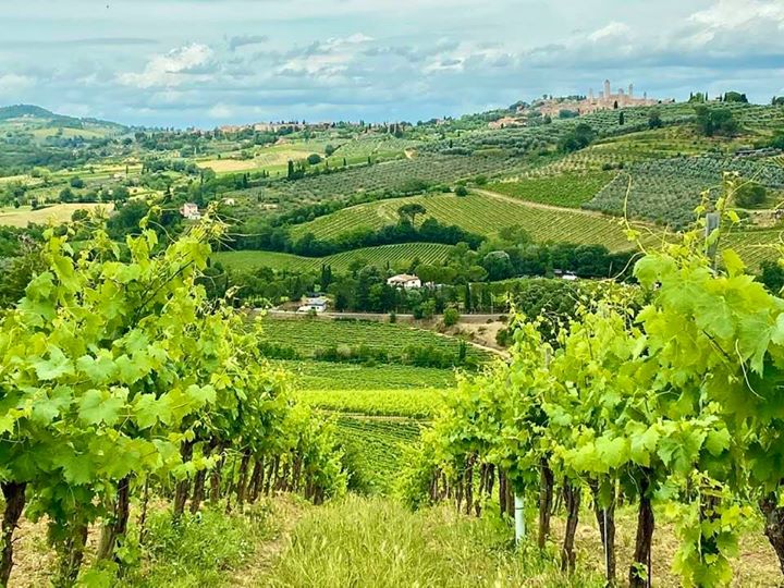 Tuscany Bacco Tours