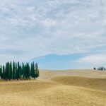 Val d'Orcia cipressi