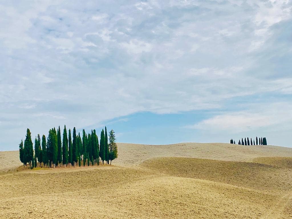 Val d'Orcia cipressi