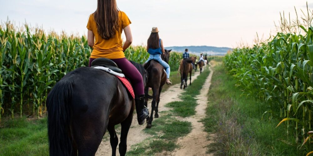 Passeggiata a cavallo