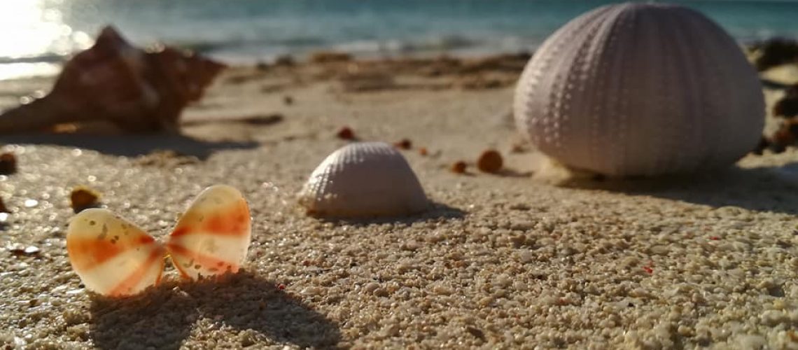 Sand