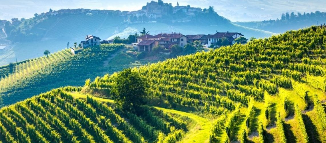 Barolo baccotours