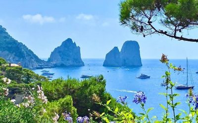 Capri Faraglioni Bacco Tours