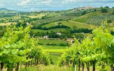 Tuscany Bacco Tours