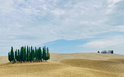 Val d'Orcia cipressi