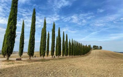 Val d'Orcia